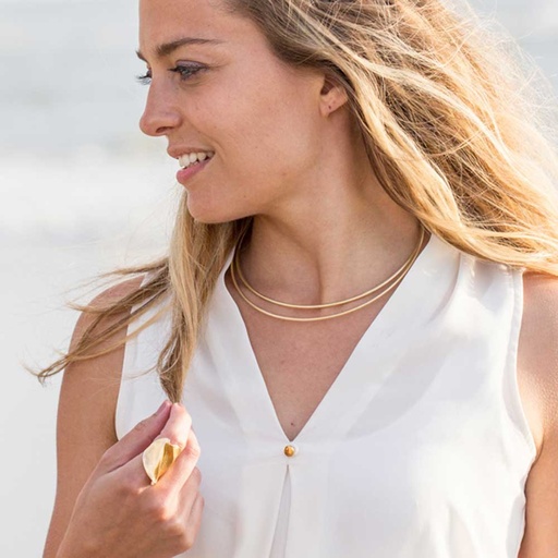 [CLE0717004] Tweerijige stijve ketting van mat verguld zilver