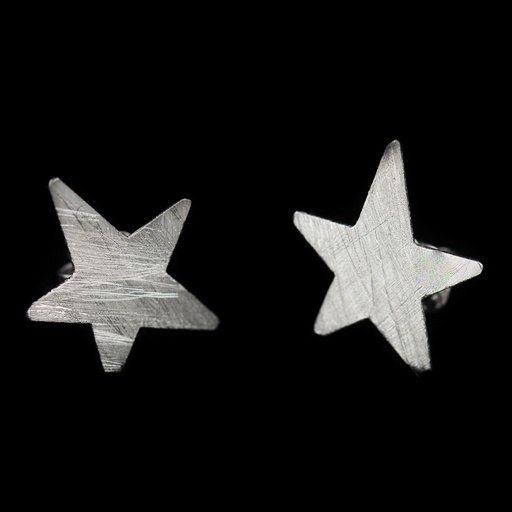 [DI0916008] Zilvermatte ster-oorbellen