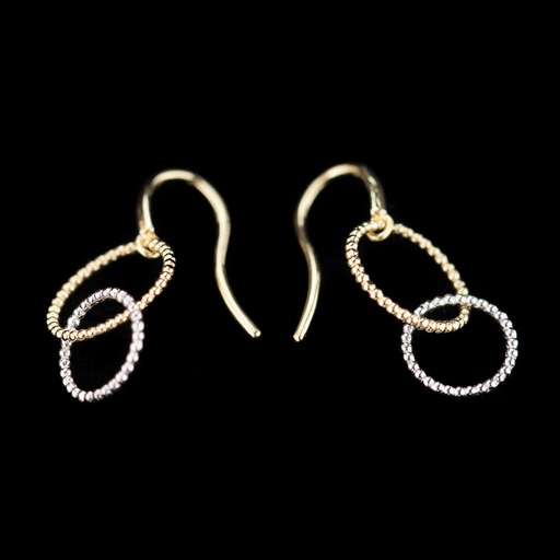 [NO1118003] Gouden oorbellen met twee cirkeltjes, groter en kleiner