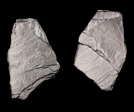 Steenvormige oorbellen van donkergrijs zilver