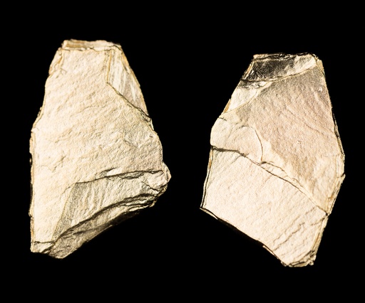 [PRE1118019] Steenvormige oorbellen van verguld zilver