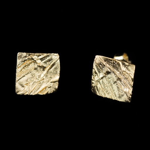 [PRE1217004] Schitterende vierkante oorbelletjes van verguld zilver