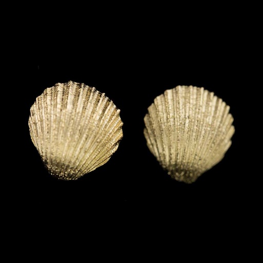 [PRE1217006] Vergulde schelpoorbellen