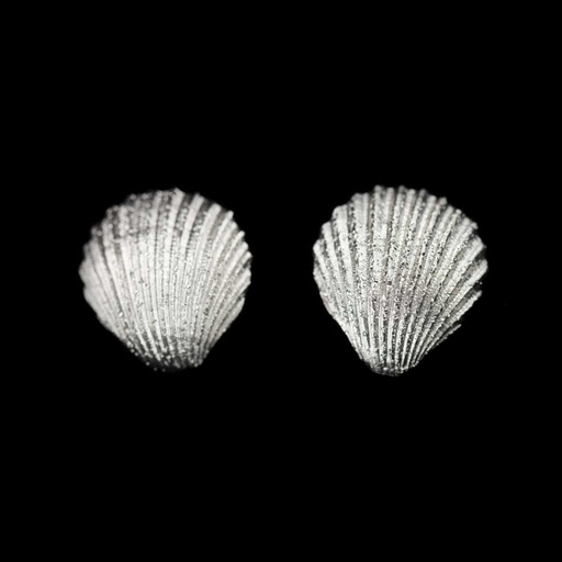[PRE1217007] Zilveren schelpoorbellen