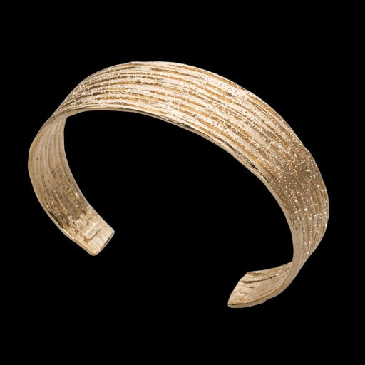 Vergulde en gestreepte slavenarmband