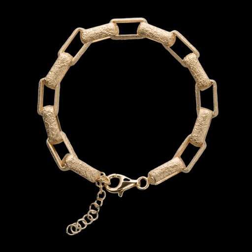 Vergulde en matte schakelarmband