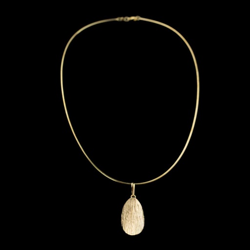 Bladvormige hanger van verguld zilver en omegaketting