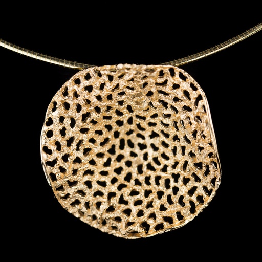 Vergulde hanger met gaatjes en schitteringen ,zonder ketting