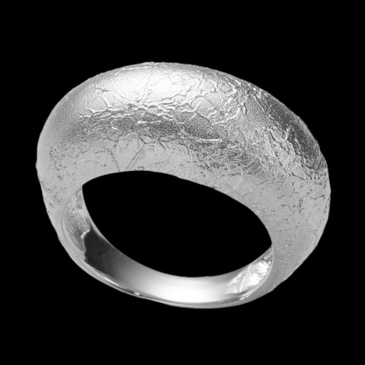 Bewerkte zilveren en matte ring