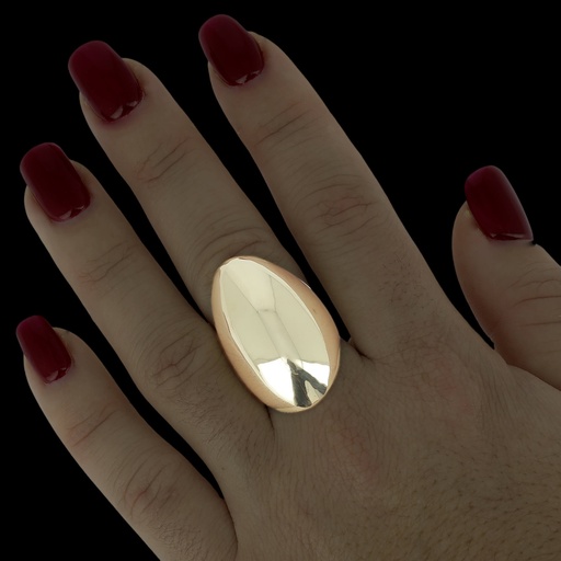 [L1122003G14] Gouden en gepolijste langwerpige ring, 14kt
