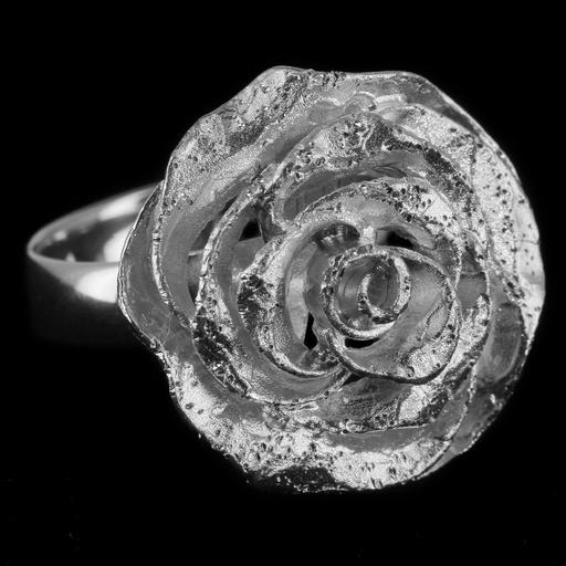 Schitterende zilveren bloemring