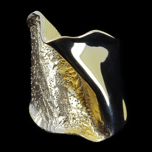 [L112008G14] Smalle 14 Kt gouden ring, mat, gepolijst en gediamanteerd