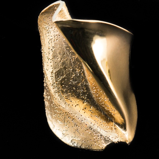Vergulde ring gepolijst en gediamanteerd